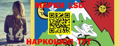 спиды Шелехов