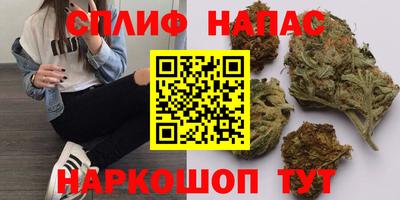 спиды Шелехов