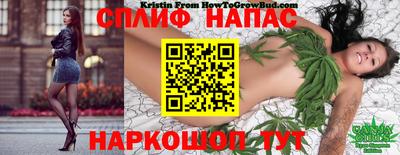 спиды Шелехов