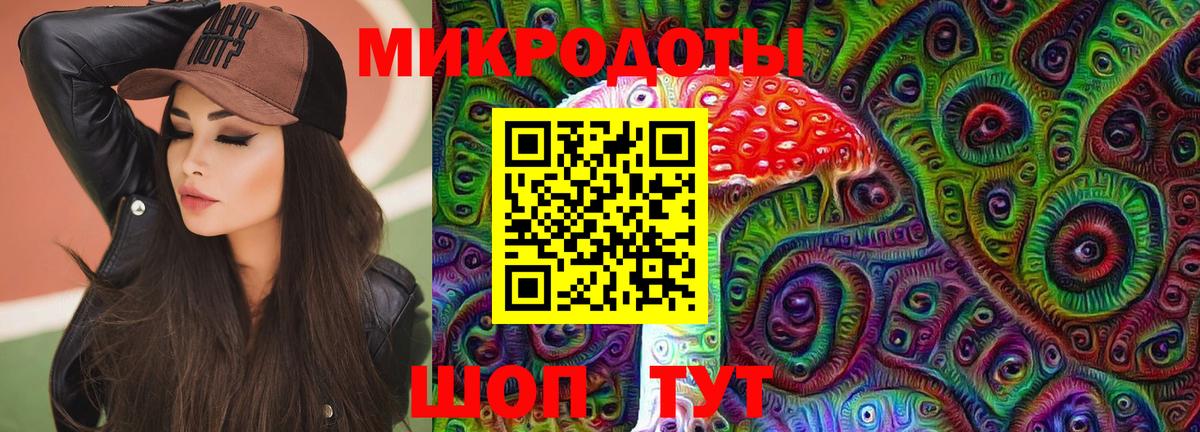 Михайловск  Псилоцибиновые грибы Psilocybine cubensis  Вход с VPN 
